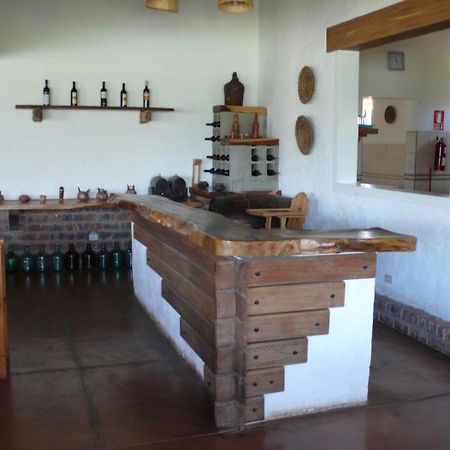 Casa Hacienda Nasca Oasis Hotel Nazca Ngoại thất bức ảnh