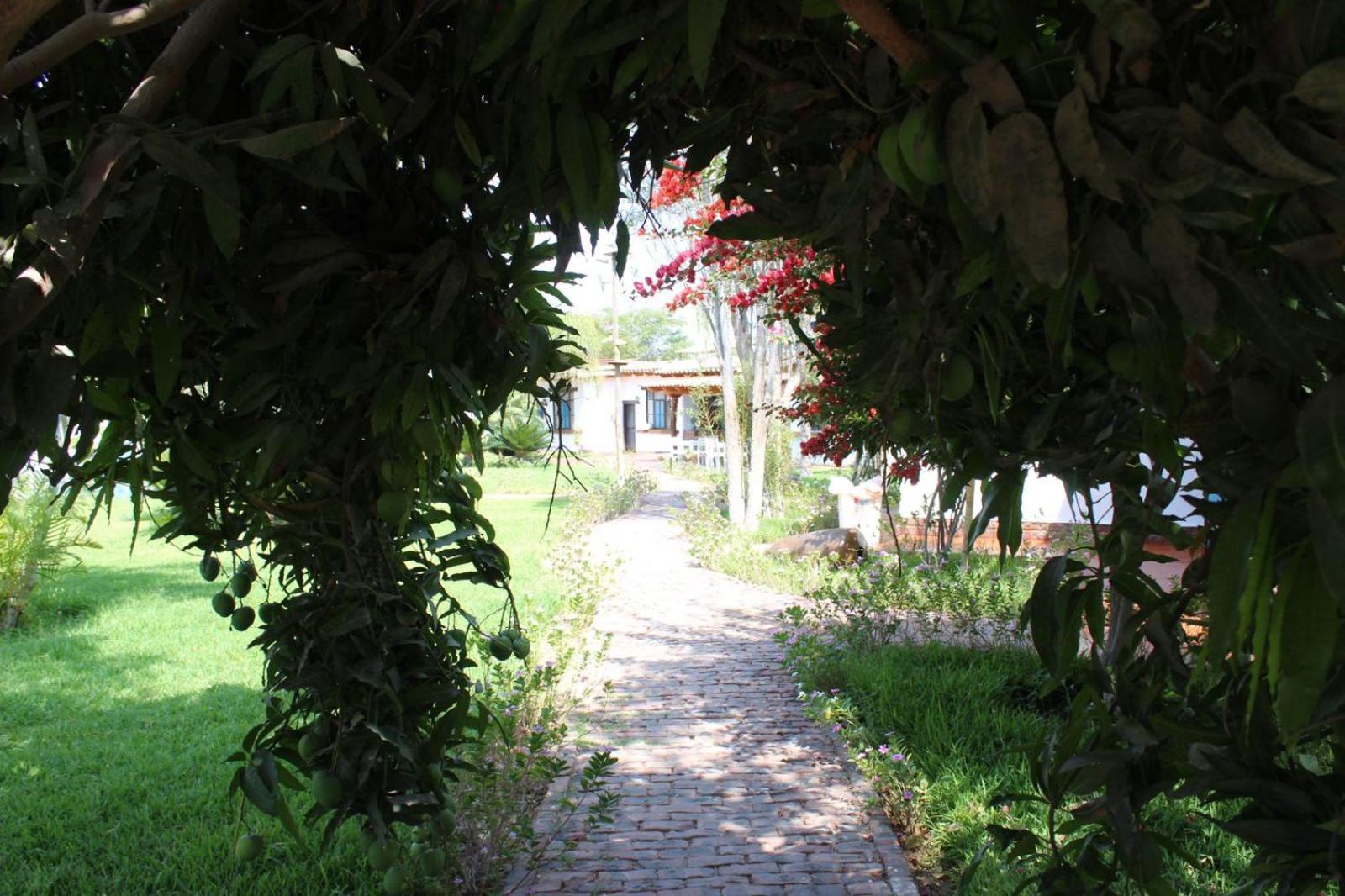 Casa Hacienda Nasca Oasis Hotel Nazca Ngoại thất bức ảnh