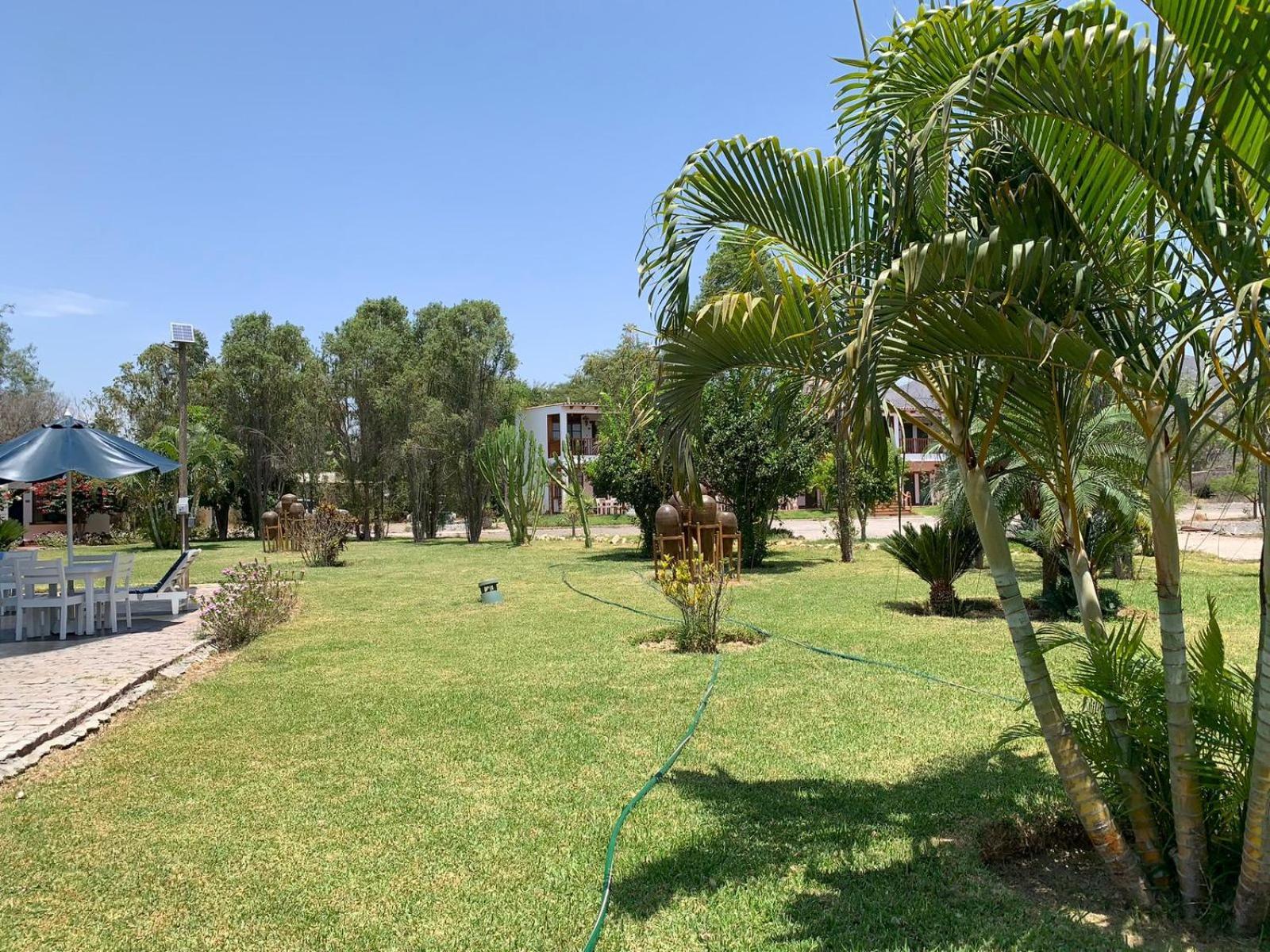 Casa Hacienda Nasca Oasis Hotel Nazca Ngoại thất bức ảnh