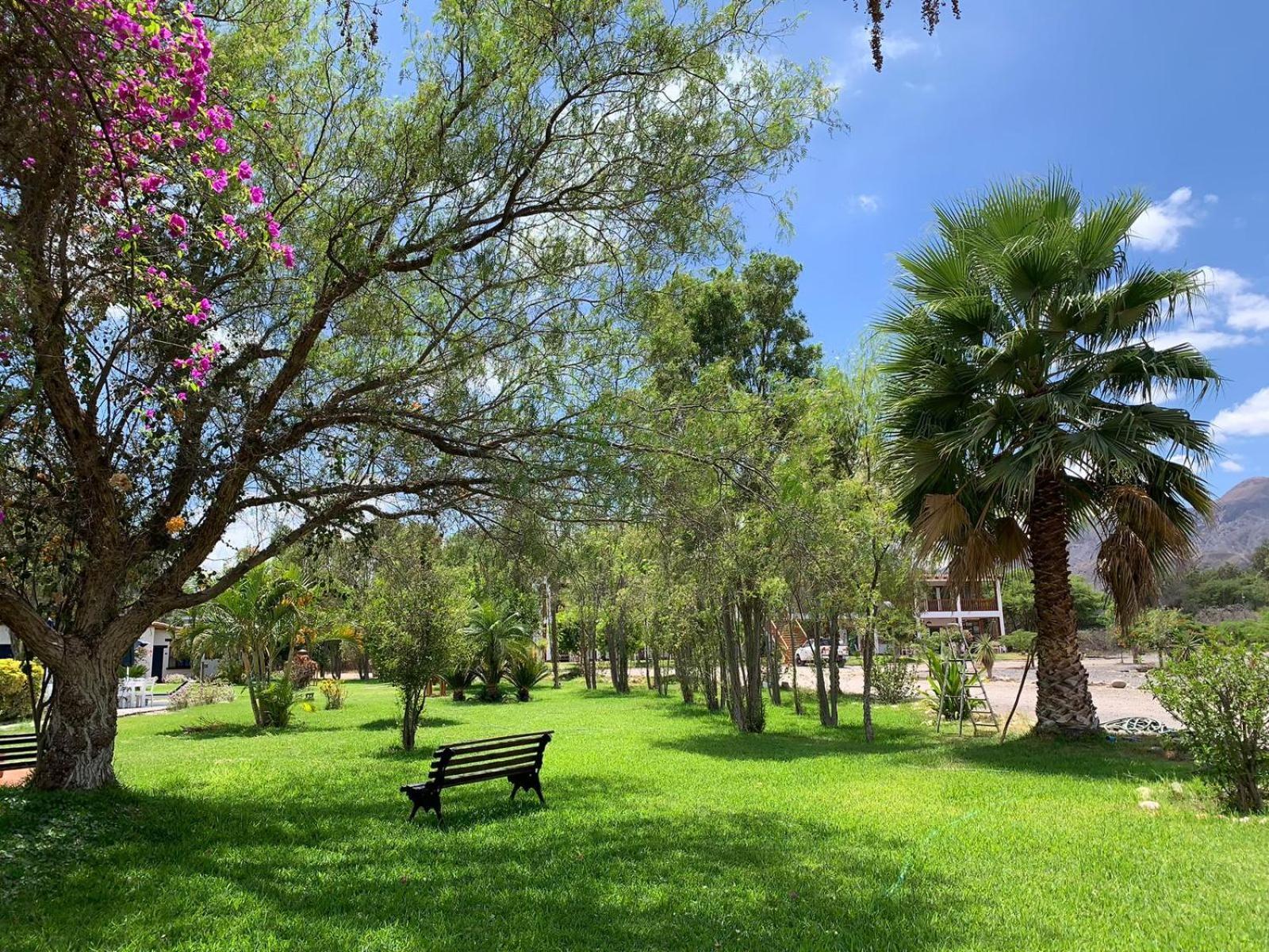 Casa Hacienda Nasca Oasis Hotel Nazca Ngoại thất bức ảnh