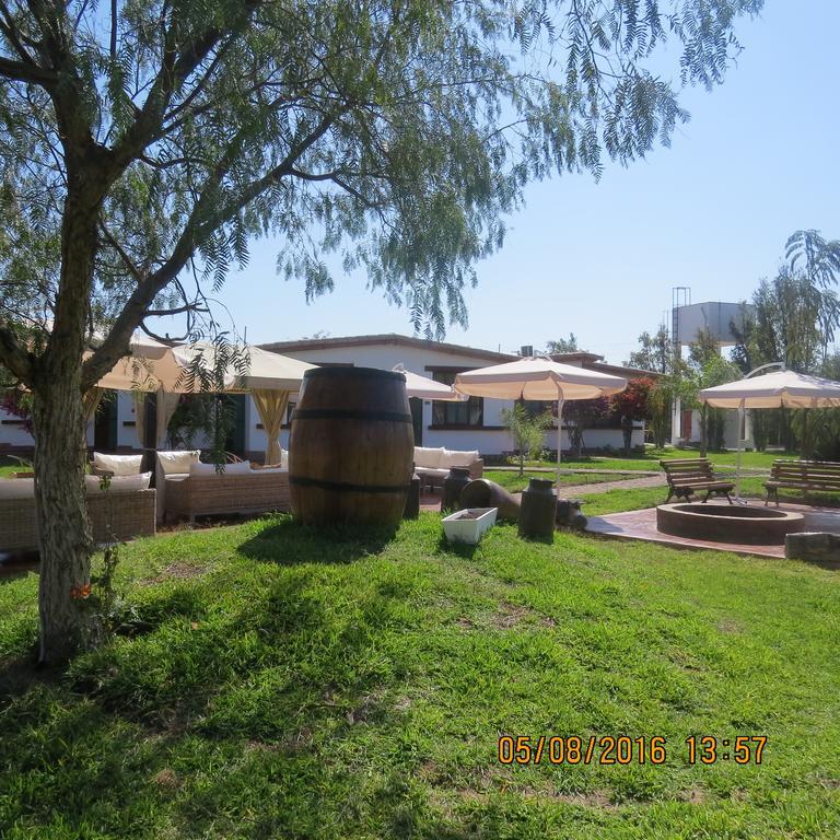 Casa Hacienda Nasca Oasis Hotel Nazca Ngoại thất bức ảnh
