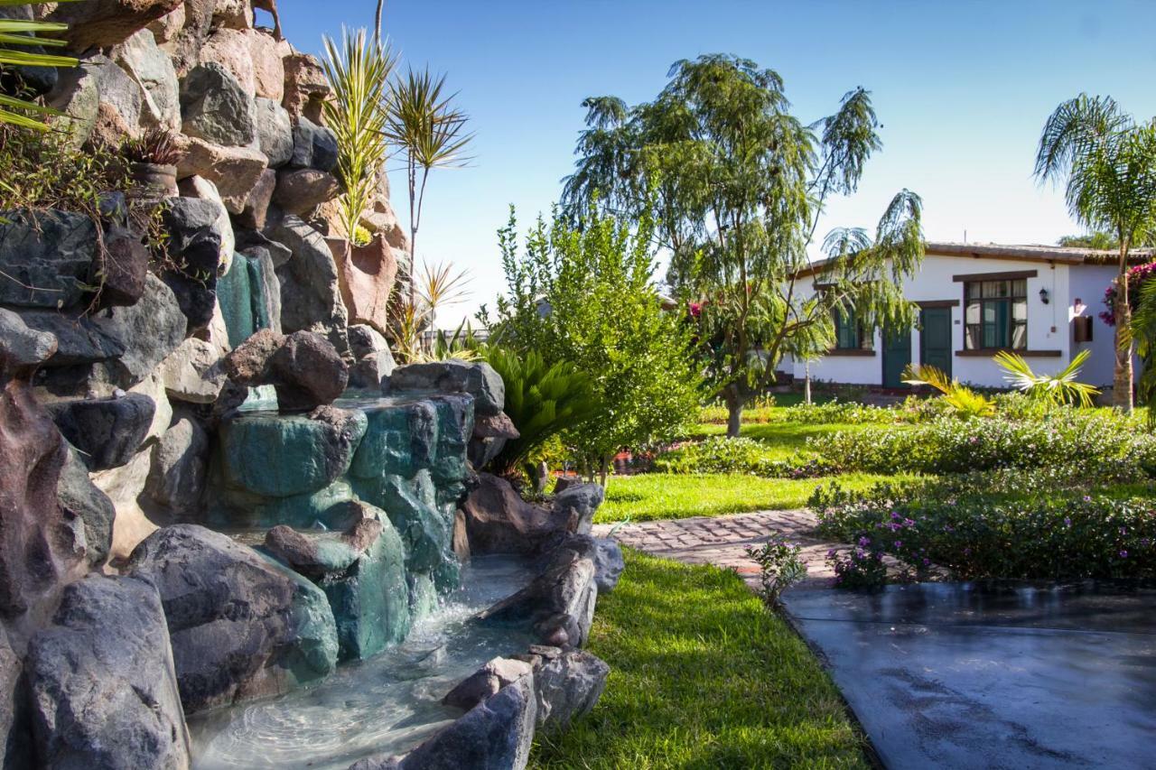 Casa Hacienda Nasca Oasis Hotel Nazca Ngoại thất bức ảnh