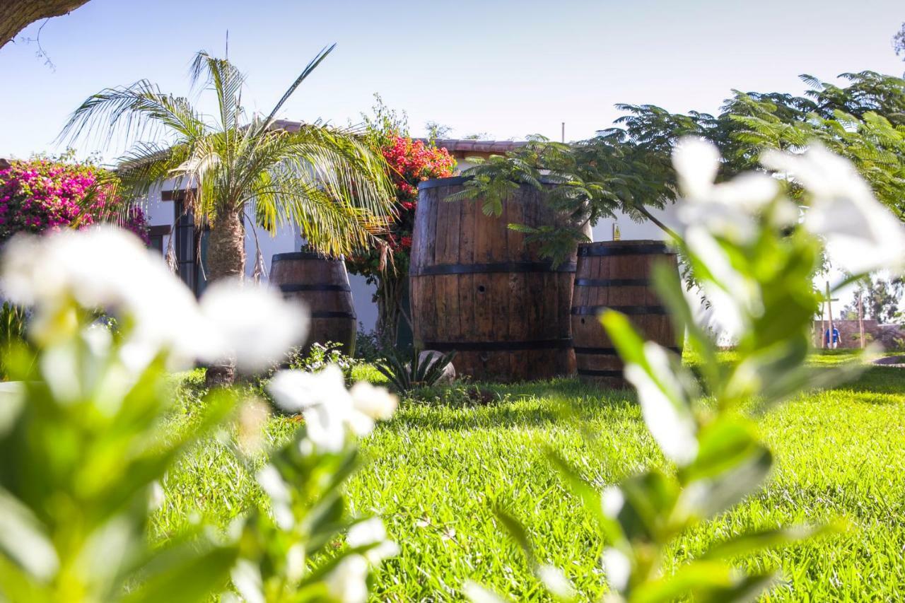 Casa Hacienda Nasca Oasis Hotel Nazca Ngoại thất bức ảnh