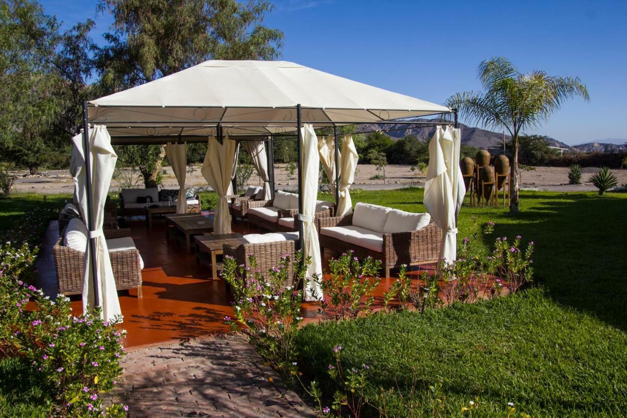 Casa Hacienda Nasca Oasis Hotel Nazca Ngoại thất bức ảnh