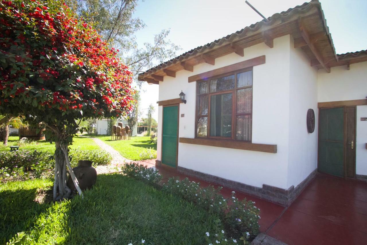 Casa Hacienda Nasca Oasis Hotel Nazca Ngoại thất bức ảnh