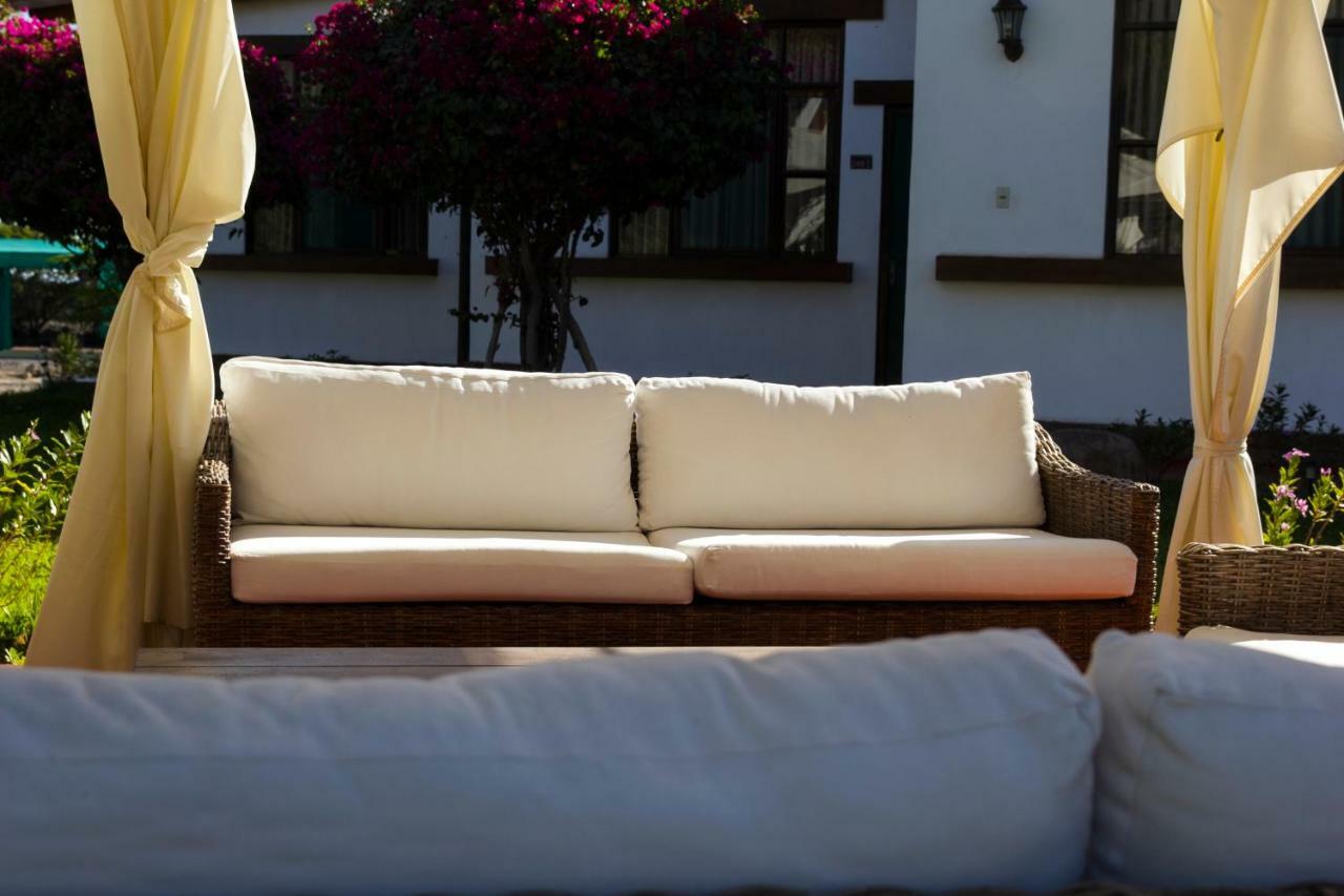 Casa Hacienda Nasca Oasis Hotel Nazca Ngoại thất bức ảnh