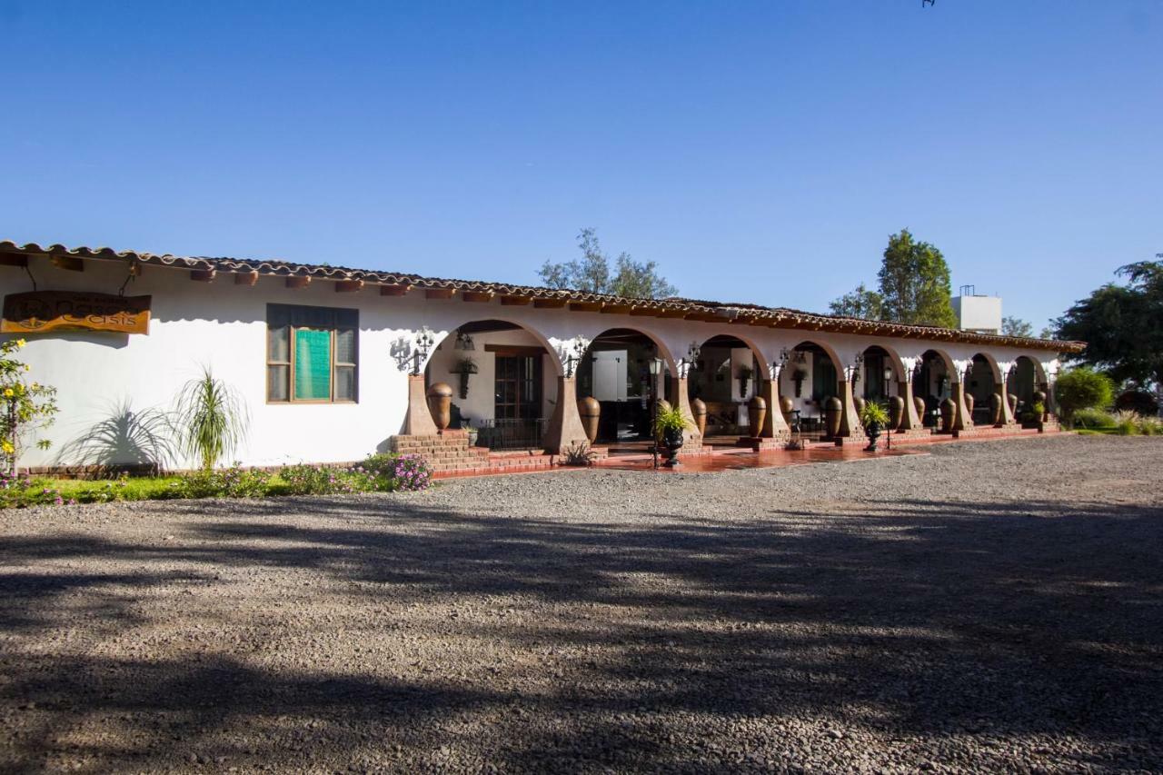 Casa Hacienda Nasca Oasis Hotel Nazca Ngoại thất bức ảnh